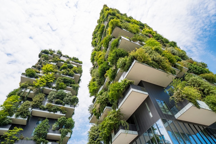 Sustainable Building Practices